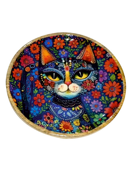 Plato gato gra.