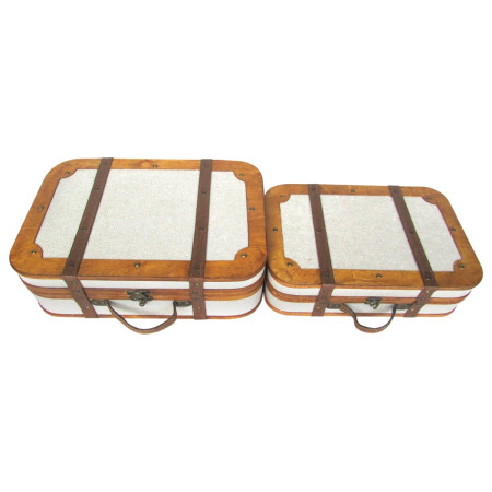 S/2 cajas almacenamiento