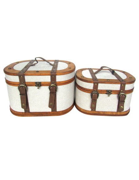 S/2 cajas almacenamiento