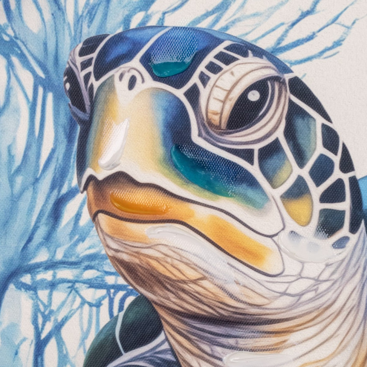Cuadro tortuga 62x62cm