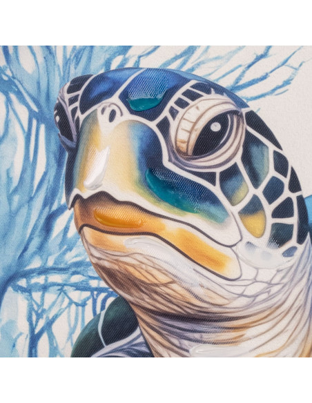 Cuadro tortuga 62x62cm