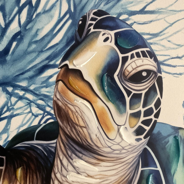 Cuadro tortuga 62x62cm