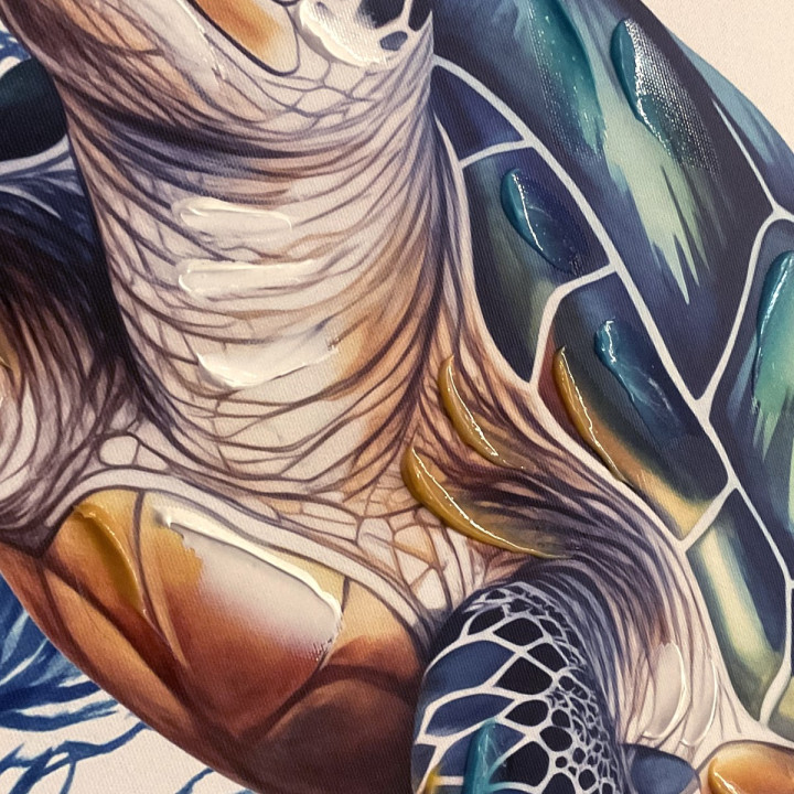 Cuadro tortuga 62x62cm