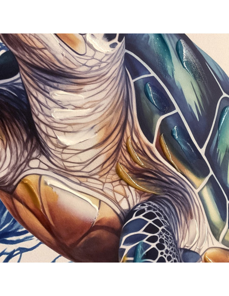 Cuadro tortuga 62x62cm