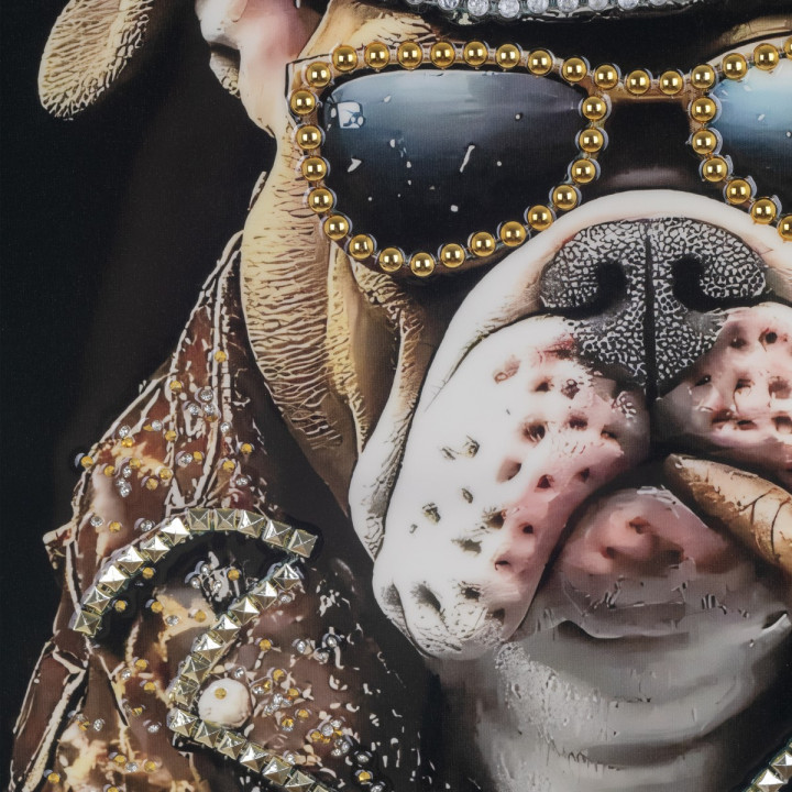 Cuadro perro 62x82cm