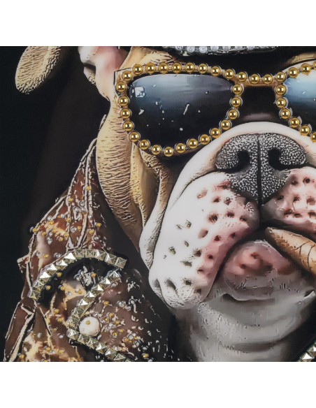 Cuadro perro 62x82cm