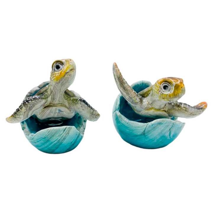Tortuga 2 dif.