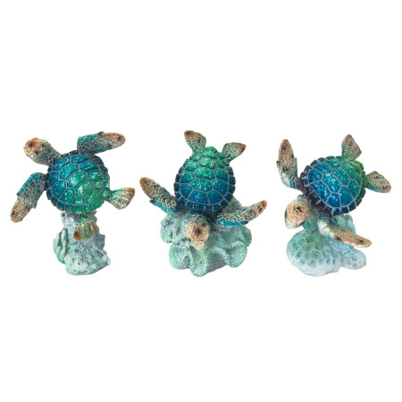 Tortuga 3 dif.