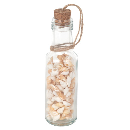 Botella de conchas