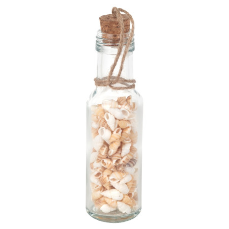 Botella de conchas 2