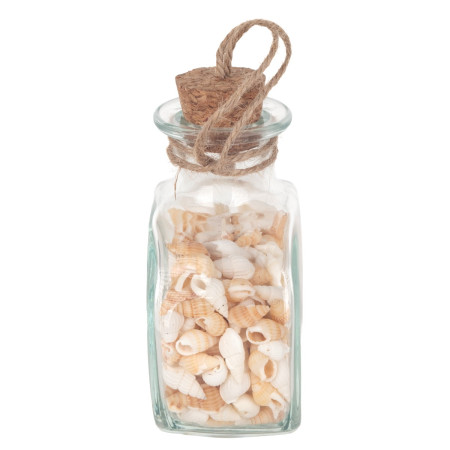 Botella de conchas 2