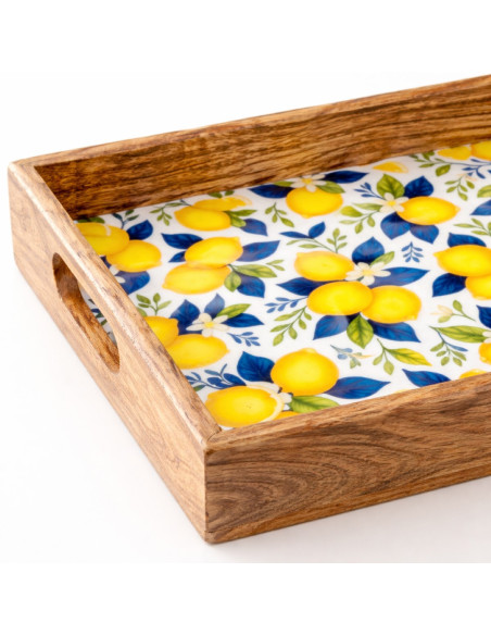 S/2 bandejas limones