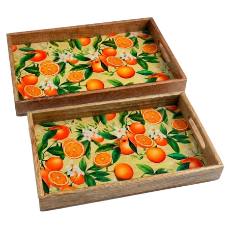 S/2 bandejas naranjas