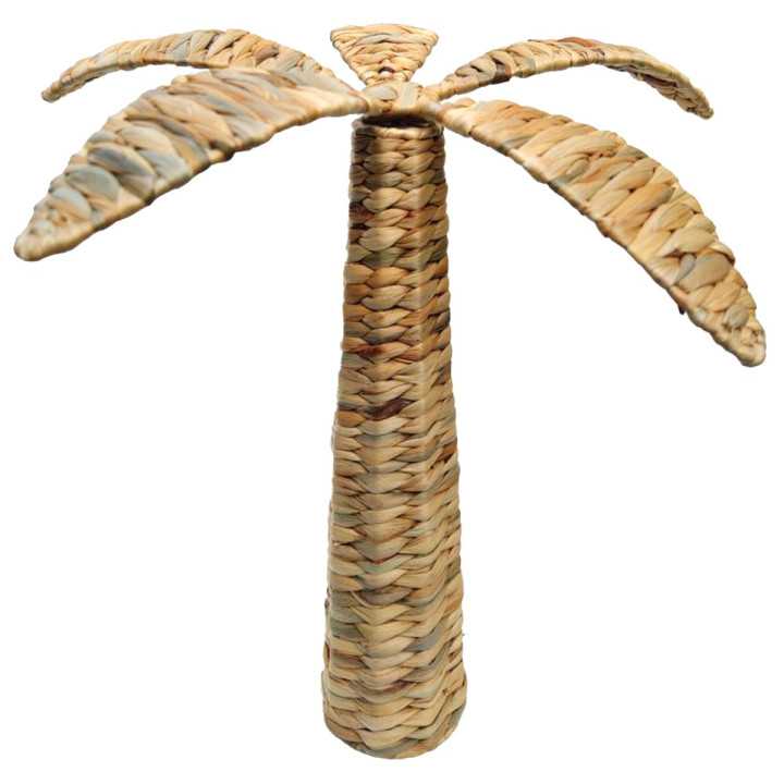 Palmera gra.