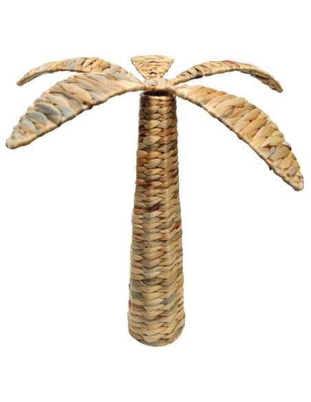 Palmera gra.