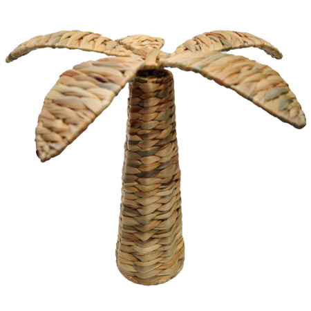 Palmera peq.