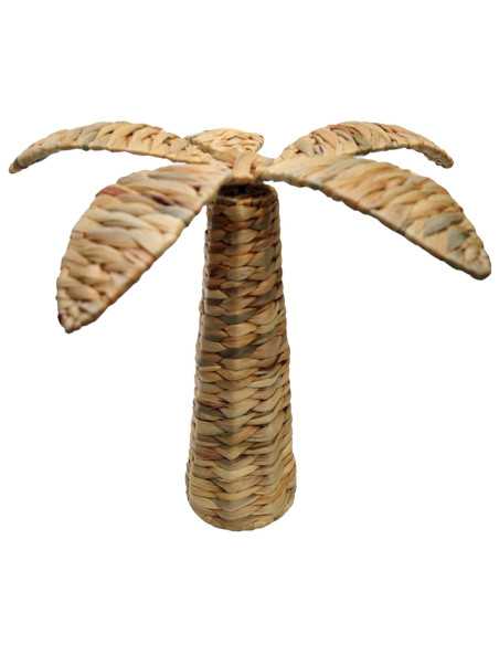 Palmera peq.