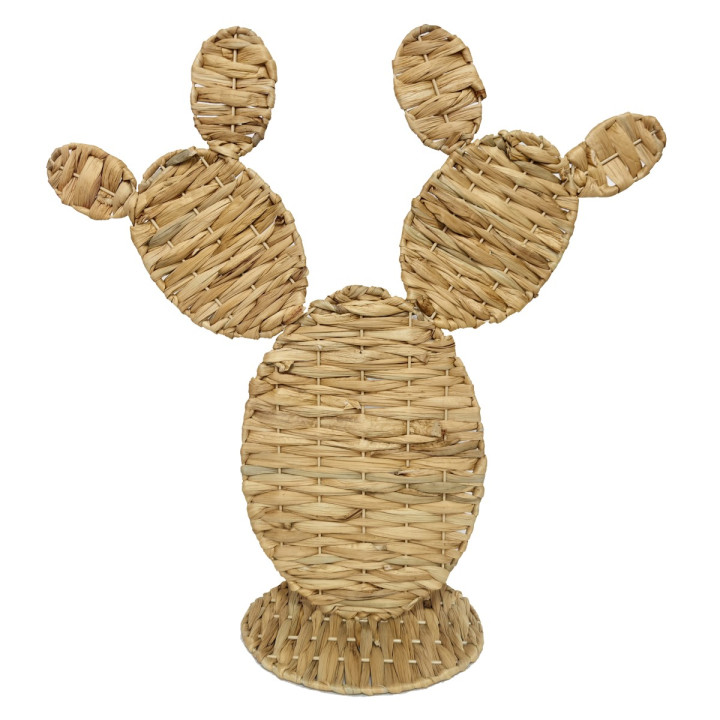 Cactus gra.