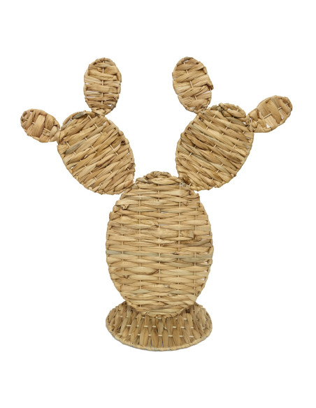Cactus gra.