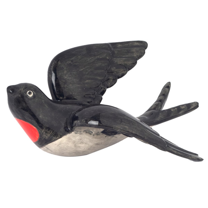 Golondrina gra.