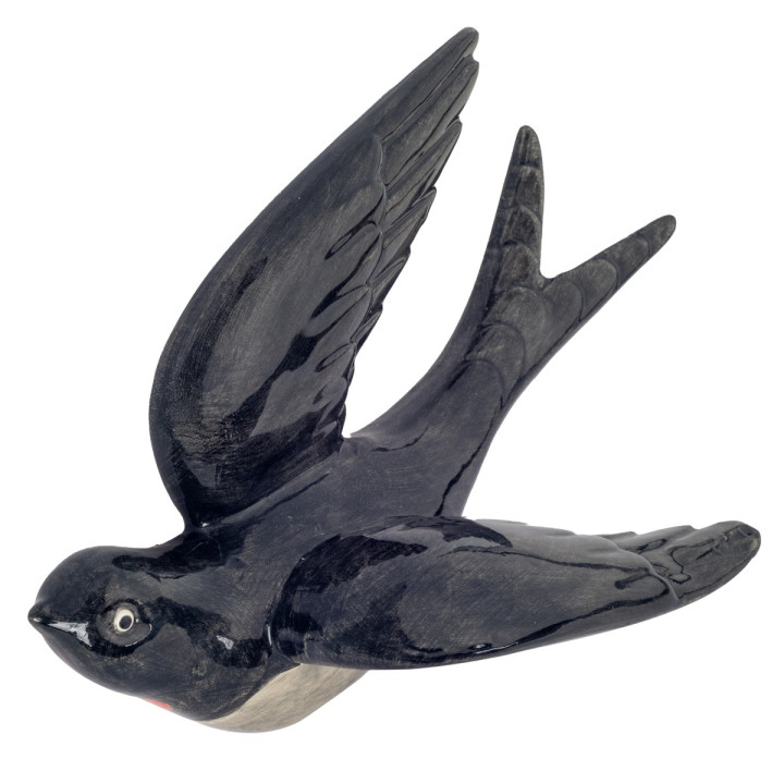 Golondrina gra.