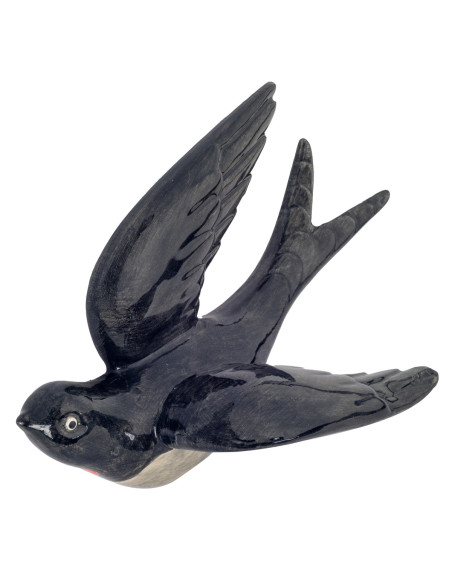 Golondrina gra.