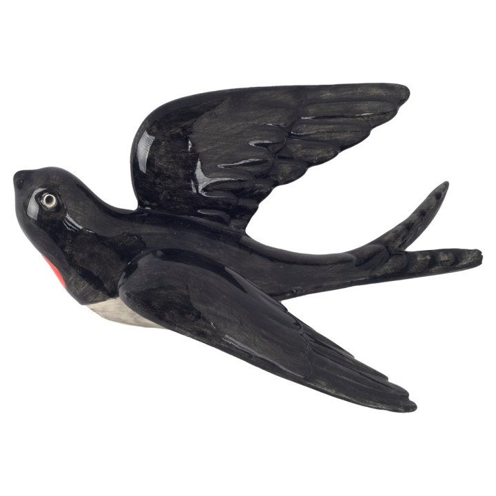 Golondrina gra.