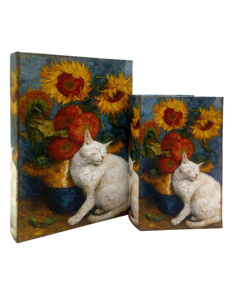 S/2 caja libro gato