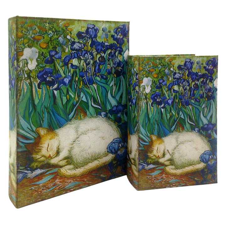 S/2 caja libro gato
