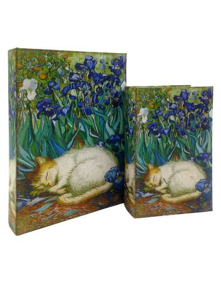 S/2 caja libro gato
