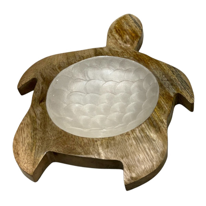 Bandeja tortuga gra.