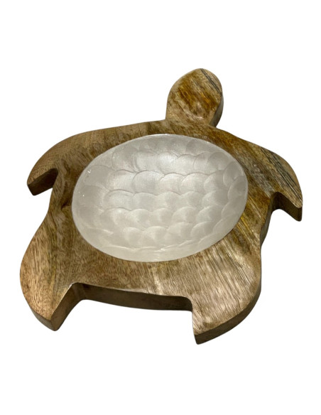 Bandeja tortuga gra.