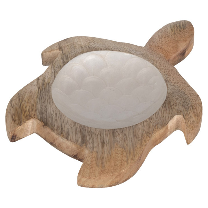 Bandeja tortuga peq.
