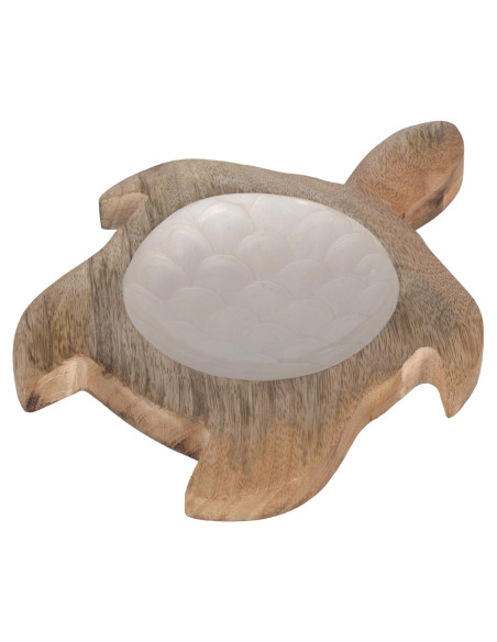 Bandeja tortuga peq.