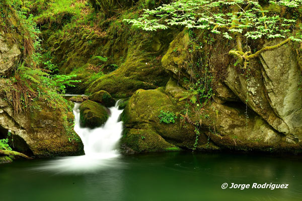 Exposicion fotografica Jorge Rguez.