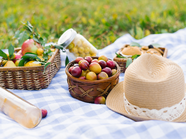 Picnic Campestre