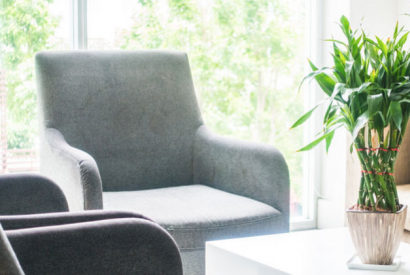 Las plantas llenan de vida tu hogar