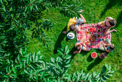 Consejos para organizar un perfecto y ecológico día de picnic